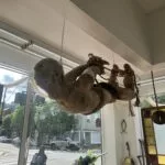 img_4800-150x150433052-1