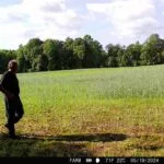 mystery1-150x150893215-1