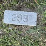 turner-grave-150x150582618-1