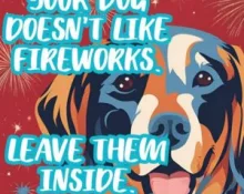 spca-fireworks-300x300240814-1