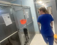 img_6521-scaled595498