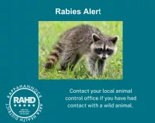 rabies991627