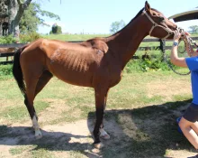 img_3456-scaled611605