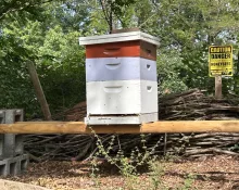 img_3239-scaled960504