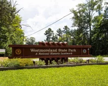 westmoreland631958