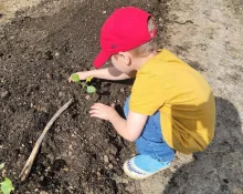 plant3450649