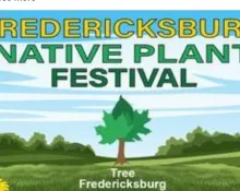 festival