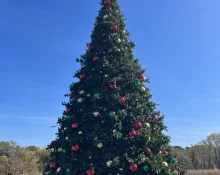 img_6939-scaled399004