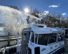 img_7749-scaled322308