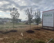 publix-scaled388564