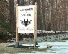 leashes328832