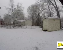 snow-in-spotsy997525