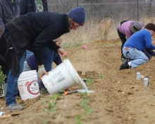 img_3242-scaled219340