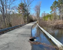 caroline-road676426