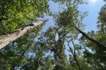 img_7858-scaled423834