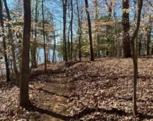 bi-trail-extension-03-11-2025-scaled977820