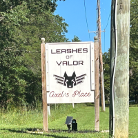 LISTEN:  Town Talk/Leashes of Valor