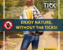 ticks123881