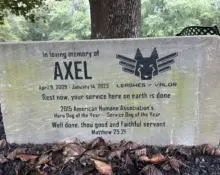 img_2132-scaled536372