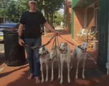 steve-gardner_shoeless789687