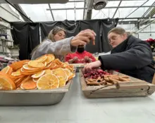 img_9712-scaled908722