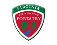 forestry-department483740