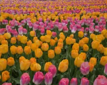 20250421_143627-1-scaled364417