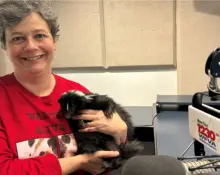 karen-brace-skunks