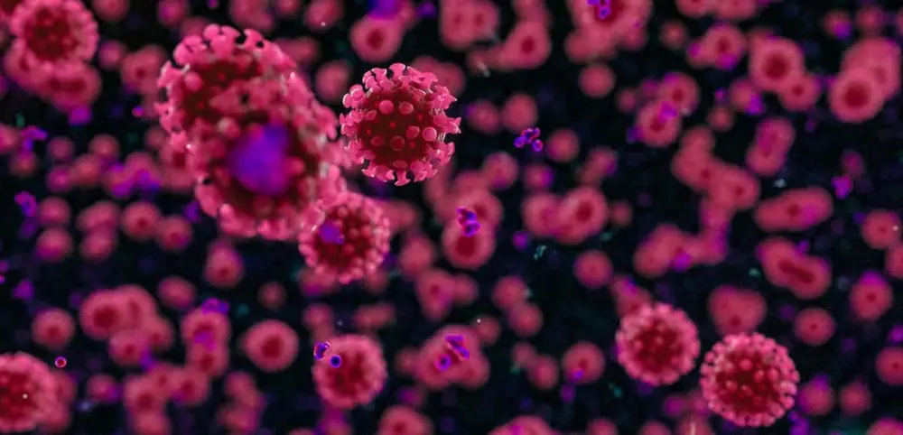 what-you-should-know-about-coronavirus-disease-covid-19