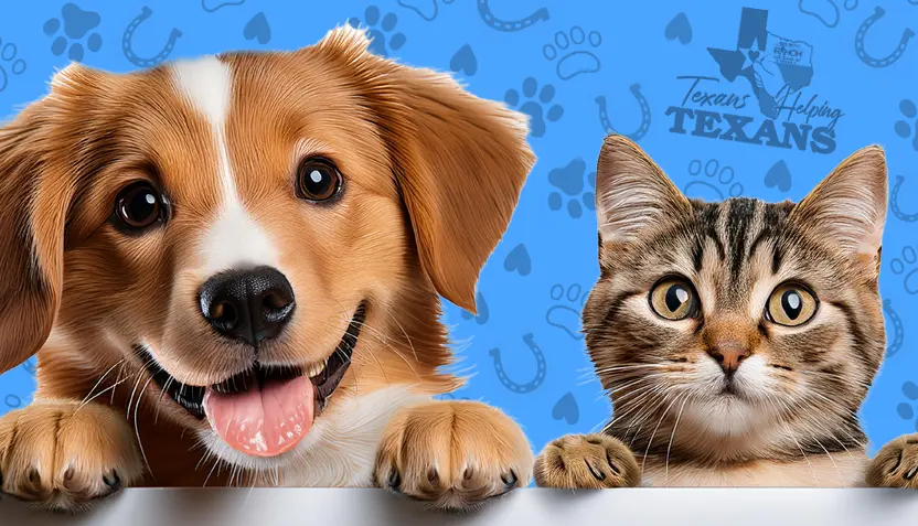 texans-helping-texans-2026-a-832