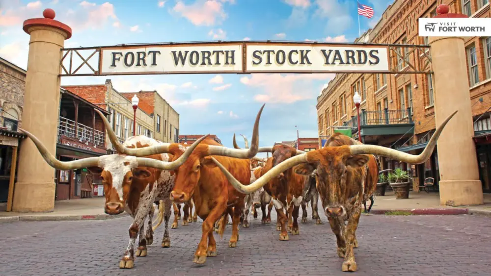 fort-worth-stockyards-19