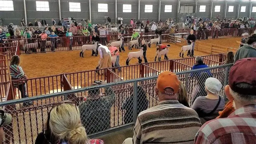tarrant-county-junior-livestock-show-facebook