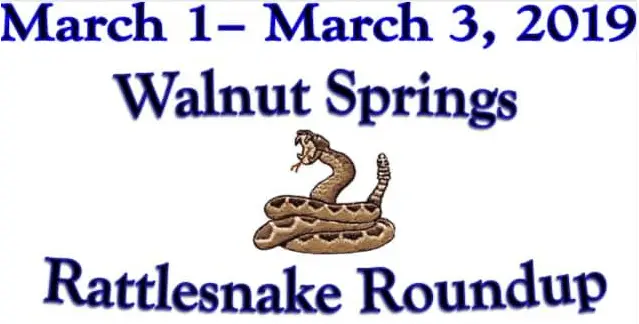 rattle-snake-roundup-edit-pic