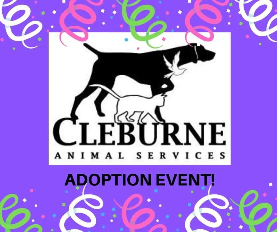 cleburne-pet-adoption-event