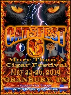 eventphotomini_cats-fest-2019