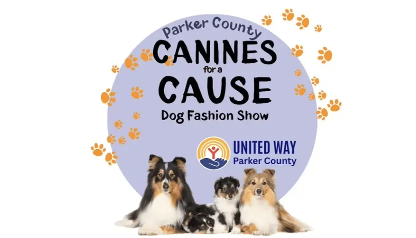 untitled-2026-01-19t090348-212