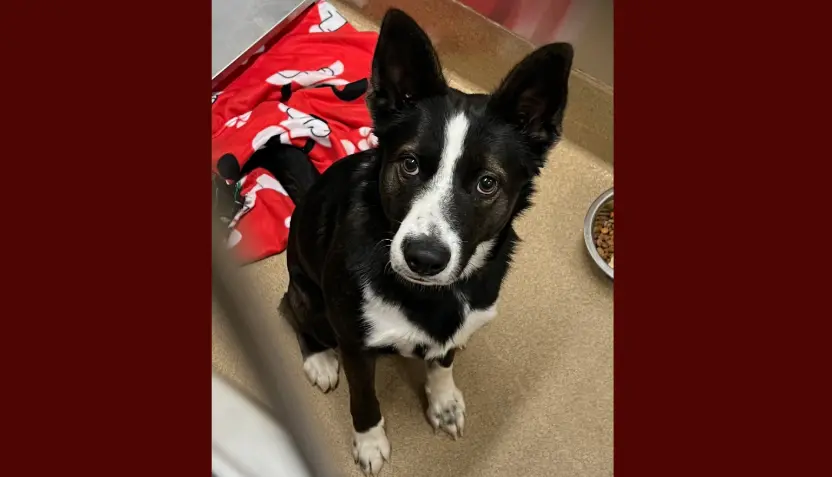 untitled-2026-02-18t082614-883