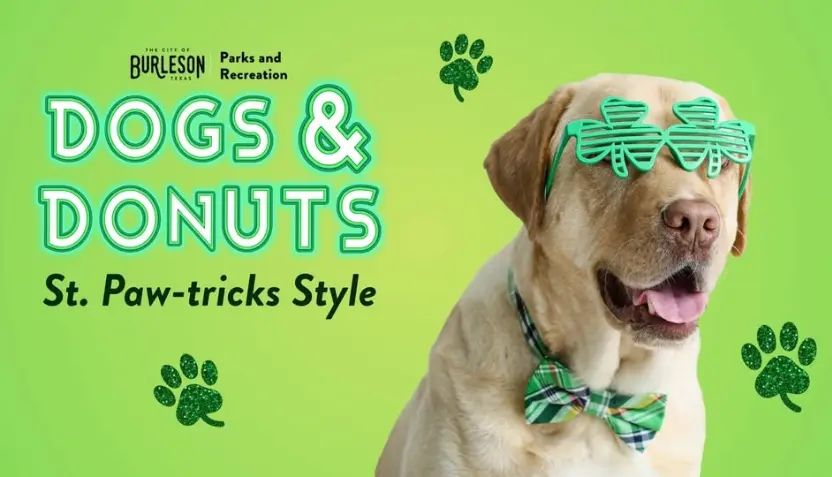 untitled-2026-02-23t162913-739