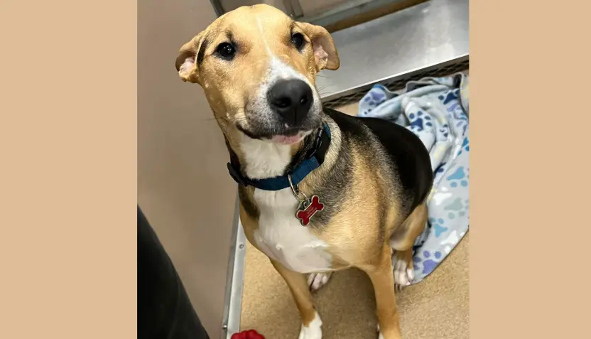 untitled-2026-03-17t124443-934