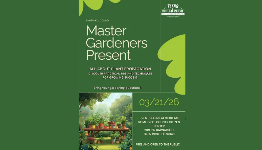 untitled-2026-03-17t125516-968