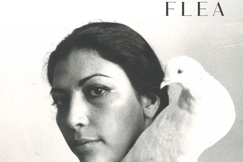 attachment-nonesuch-7