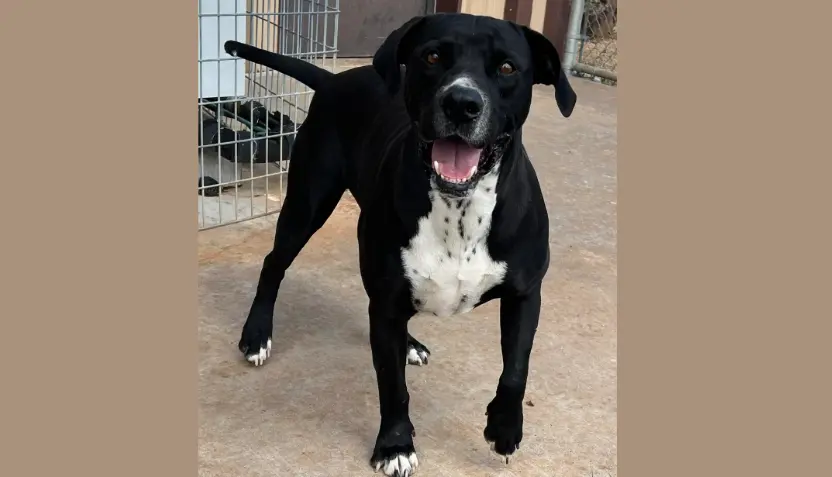 untitled-2026-03-25t071408-235