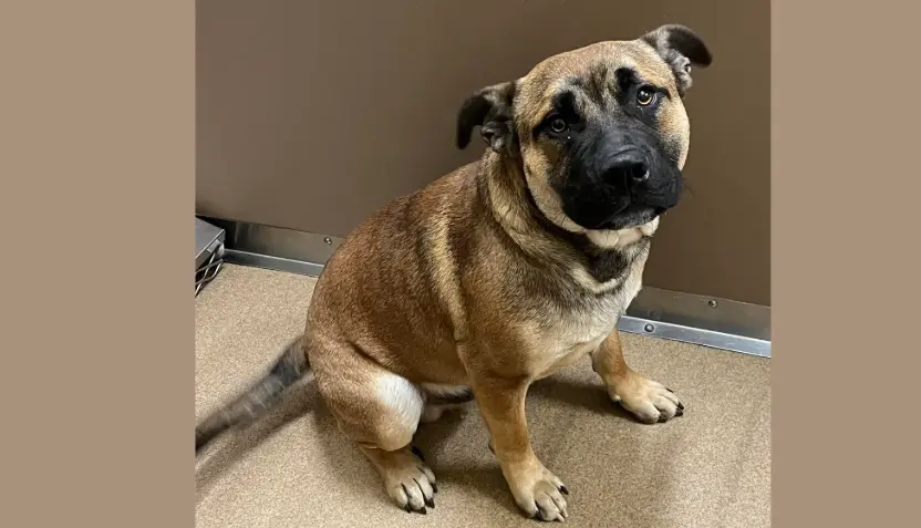 untitled-2026-04-01t081755-957