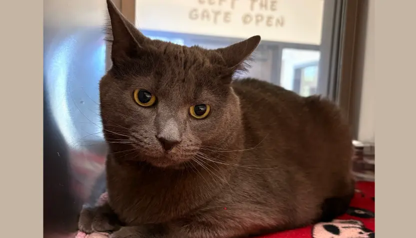 untitled-2026-04-22t091724-957