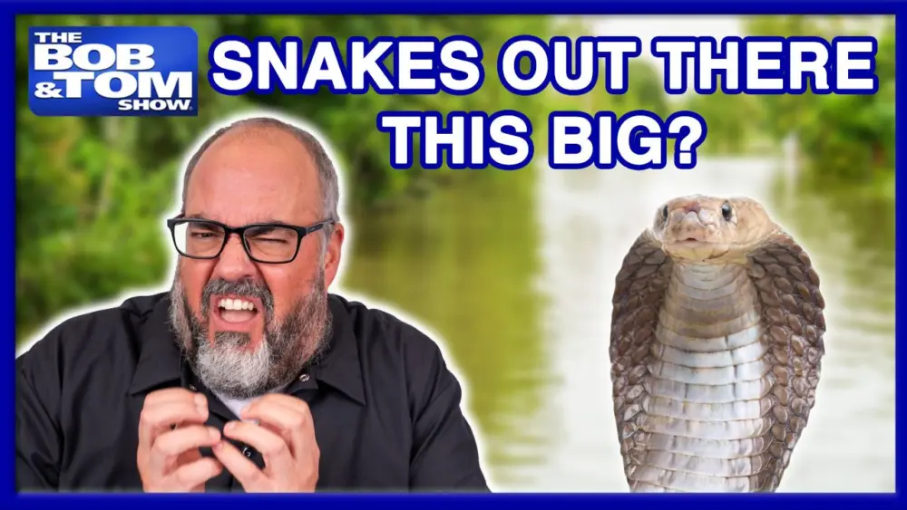7-13-26-snake-flood-thumbnail
