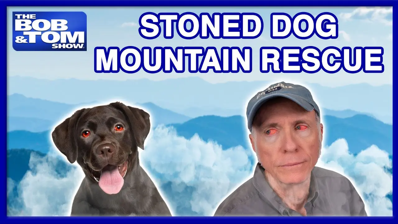 7-14-26-dog-stoned-rescue-thumb