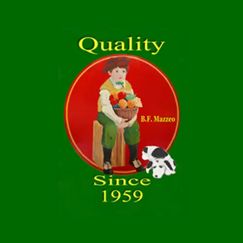 5fc6bf44c7d330d7028fa302_bfmazzeo-branding-img-p-500