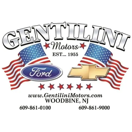 5fd2bb1984506a04b8852018_genilini-motors-square-p-500