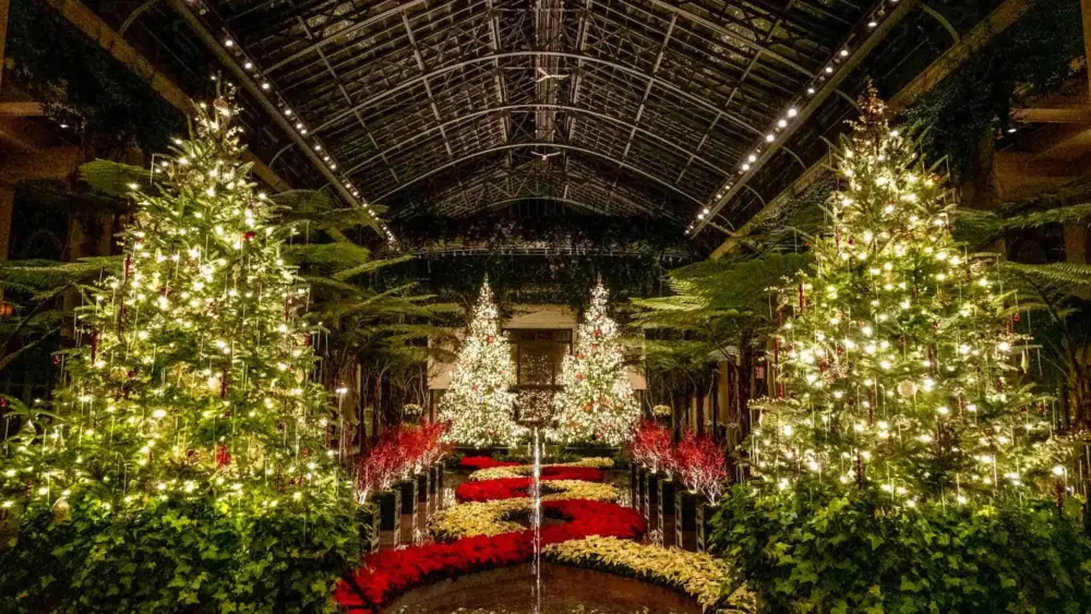 66fd98cd676bac4bfcfc4381_longwood-gardens-christmas-trees-conservatory
