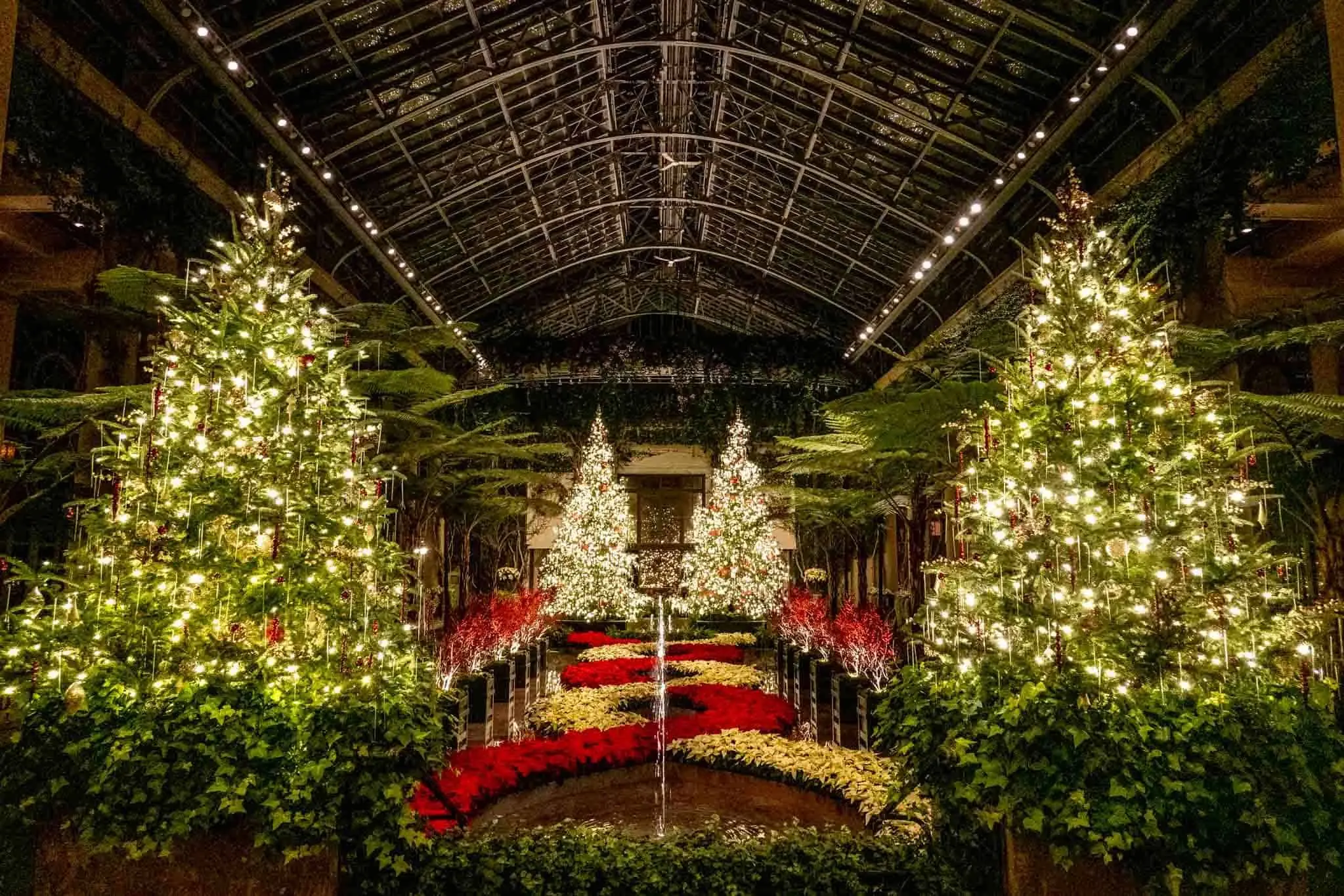 66fd98cd676bac4bfcfc4381_longwood-gardens-christmas-trees-conservatory